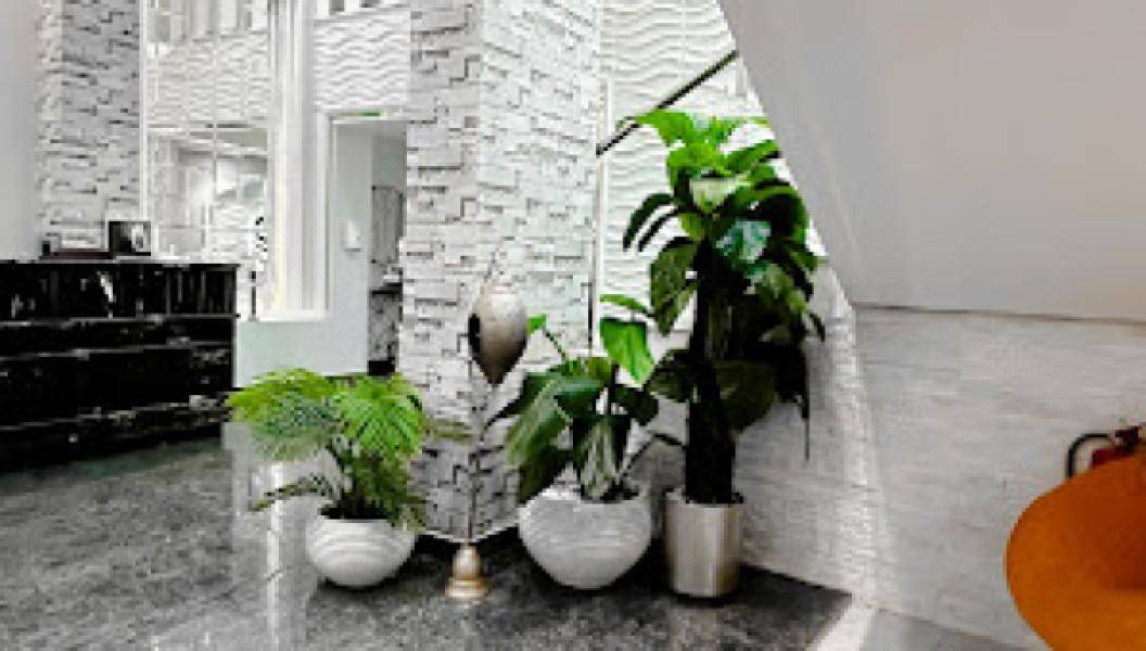 Gallery 4
